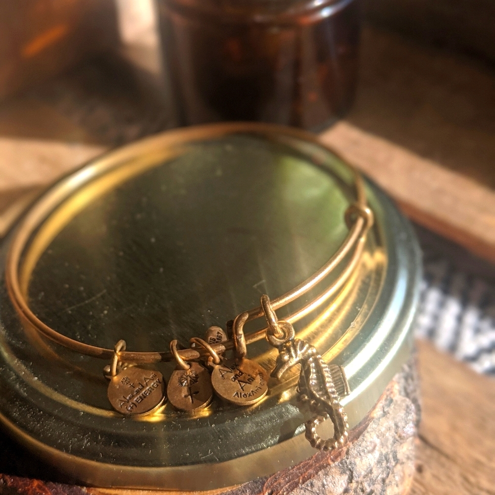 Alex & Ani - Seahorse charm bracelet